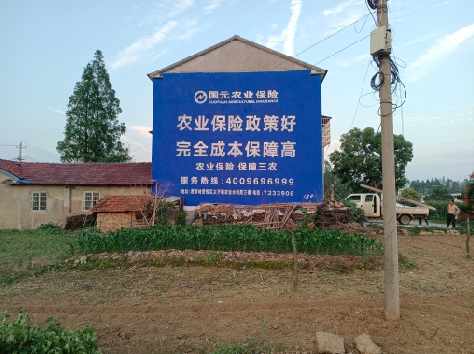 罗甸墙体广告的优劣势你知道吗？