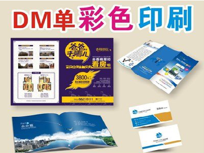罗甸单页印刷，色彩搭配简单。